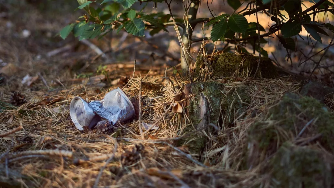 déchets dans la nature