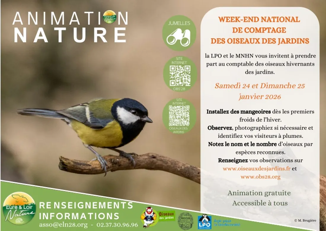 EURE-ET-LOIR - Week-end national de comptage des oiseaux des jardins