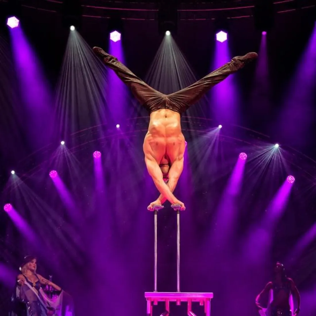 FLEURY-LES-AUBRAIS (45) - 20 ans ! La Passerelle fait son cirque