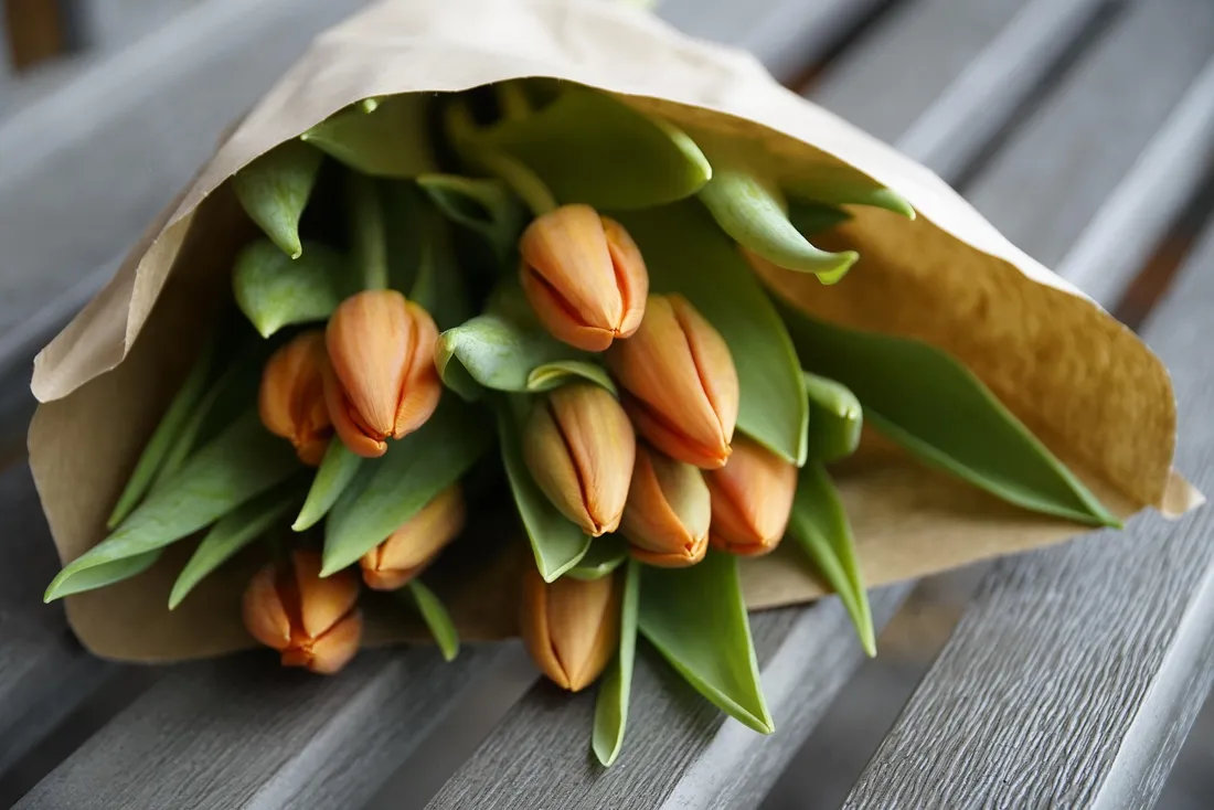 bouquet tulipes