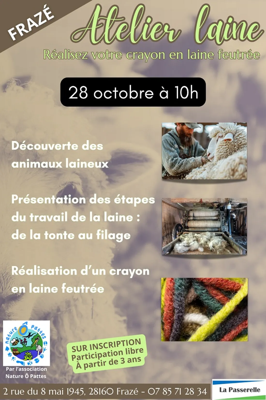 FRAZÉ - Atelier laine