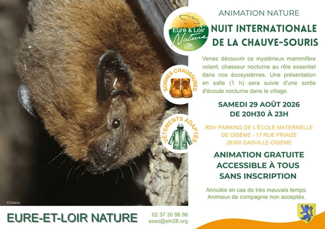 GASVILLE-OISÈME - Nuit internationale de la chauve-souris