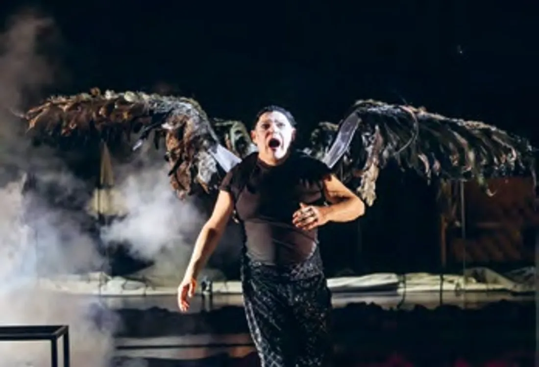 BLOIS (41) - Spectacle : Il s'en va, portrait de Raoul (suite)