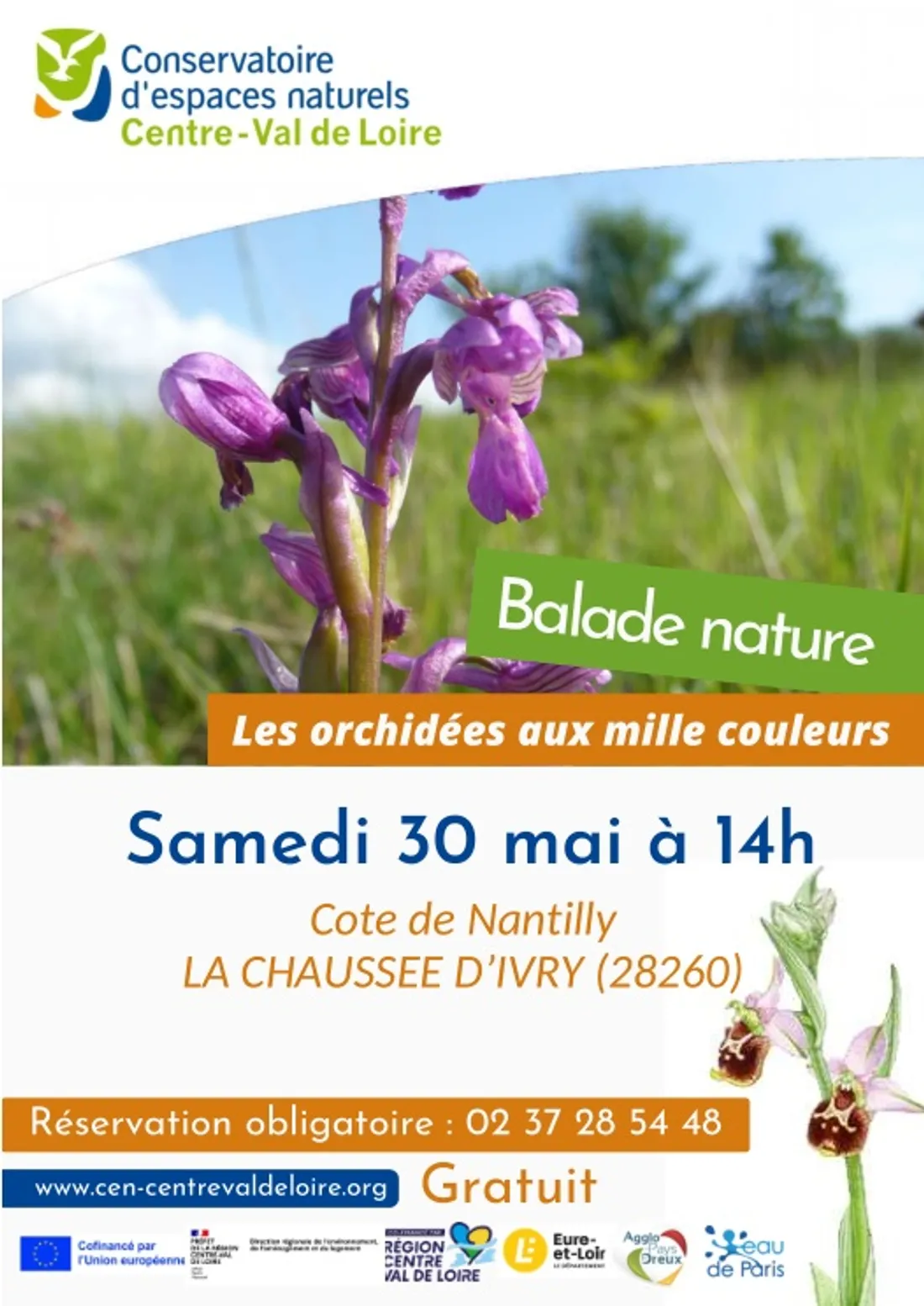 LA CHAUSSÉE-D'IVRY - Nature : Orchidées aux mille couleurs
