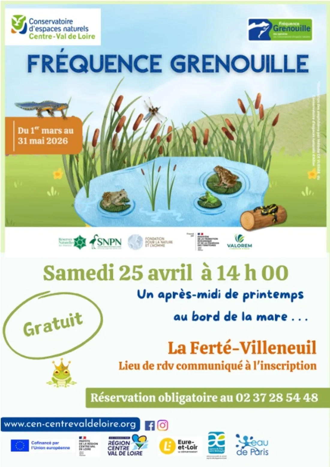 LA FERTÉ-VILLENEUIL - Nature : Les grenouilles du Moulin Rouge