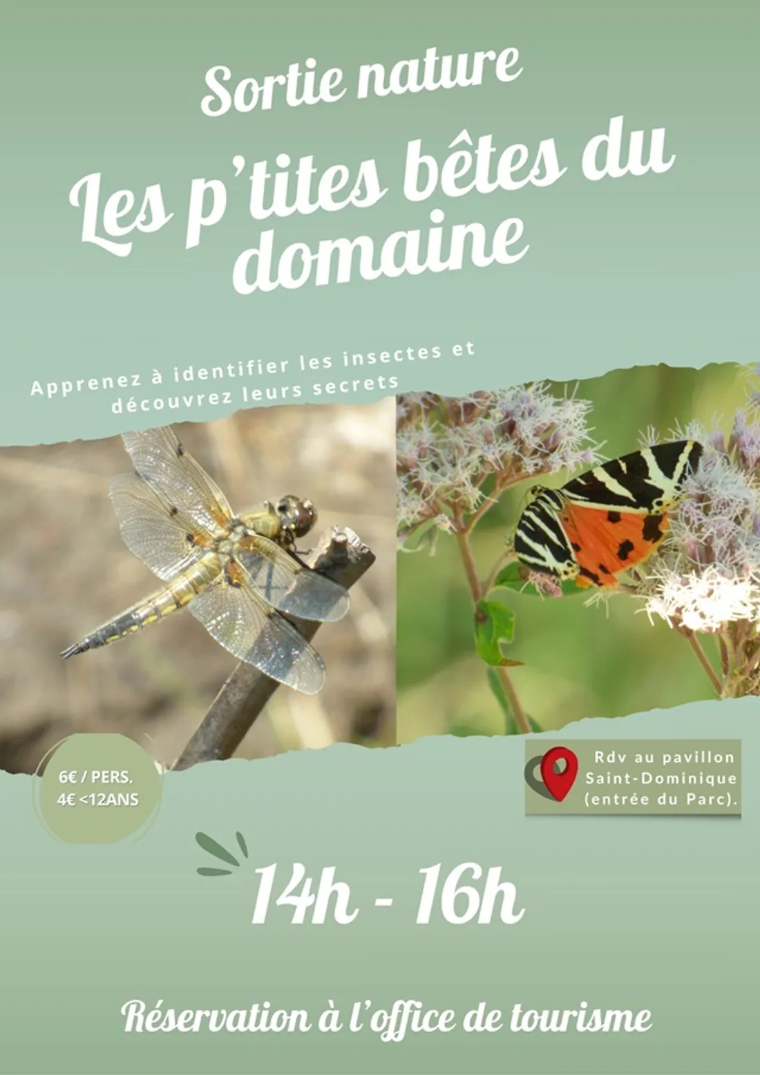 LA FERTÉ-VIDAME - Découverte des insectes