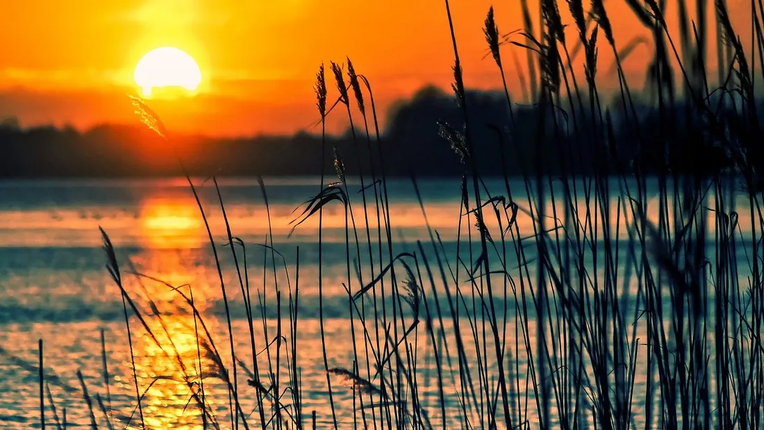 Illustration lac ensoleillé © Image libre de droits / Pixabay 