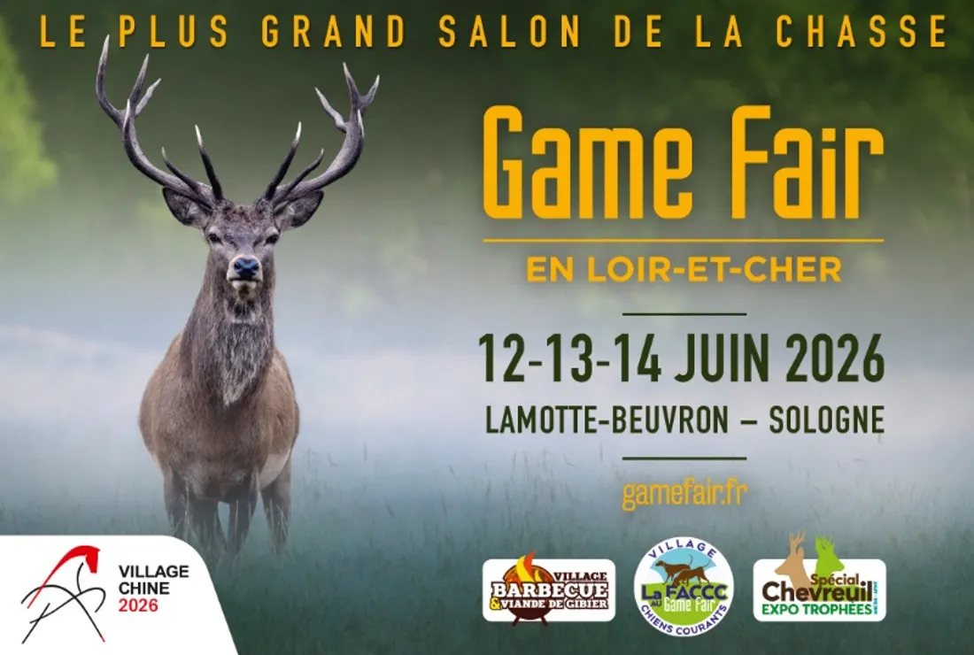 LAMOTTE-BEUVRON (41) - Game Fair