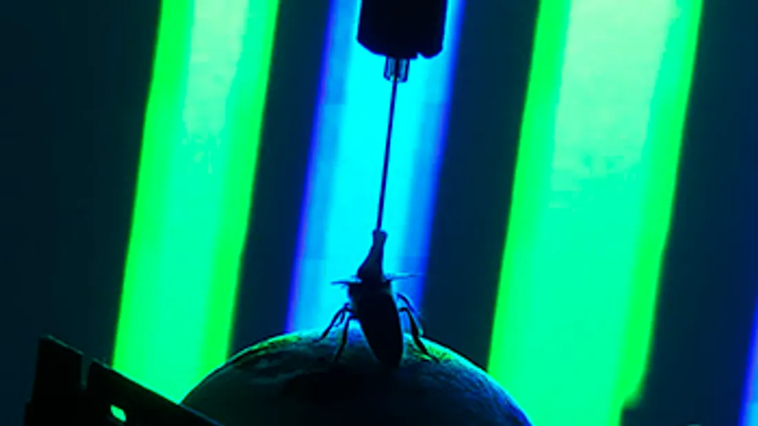 LES ROCHES-L'ÉVÊQUE (41) - Mois du Doc : Modèle Animal