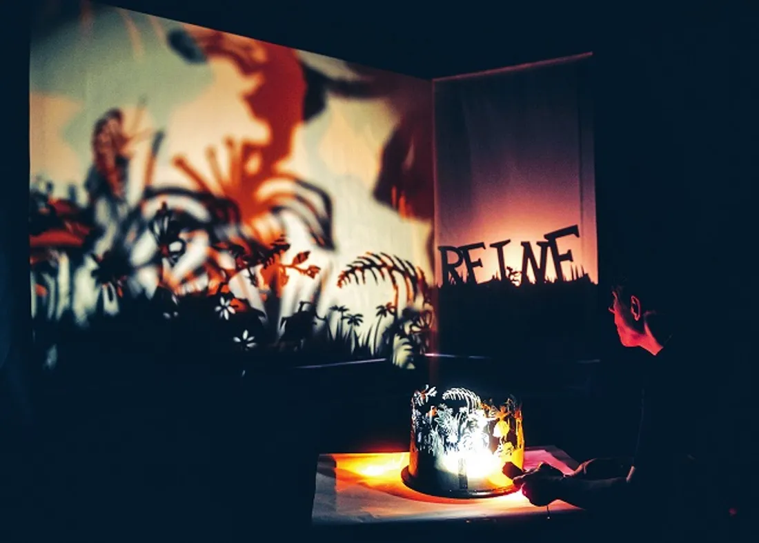 VENDÔME (41) - Saison culturelle : Femme de l'ombre