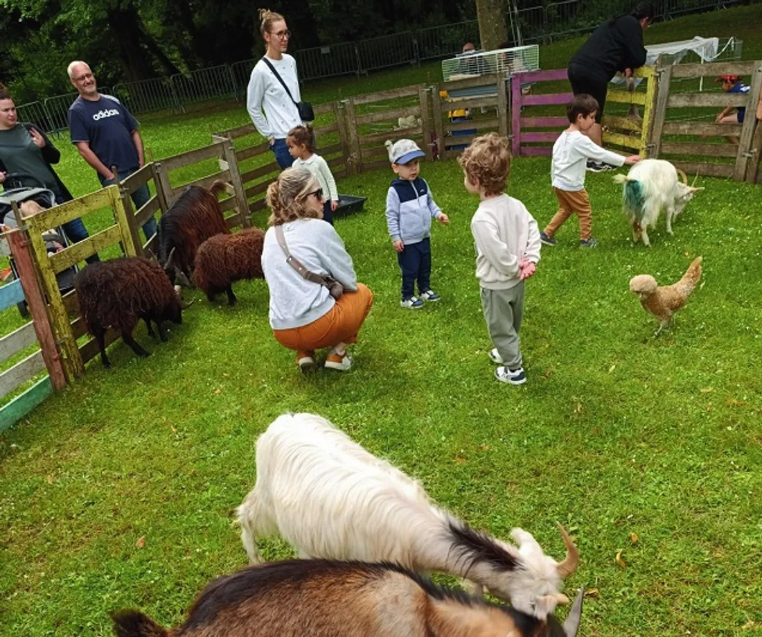 MAINTENON - Fête des jardins