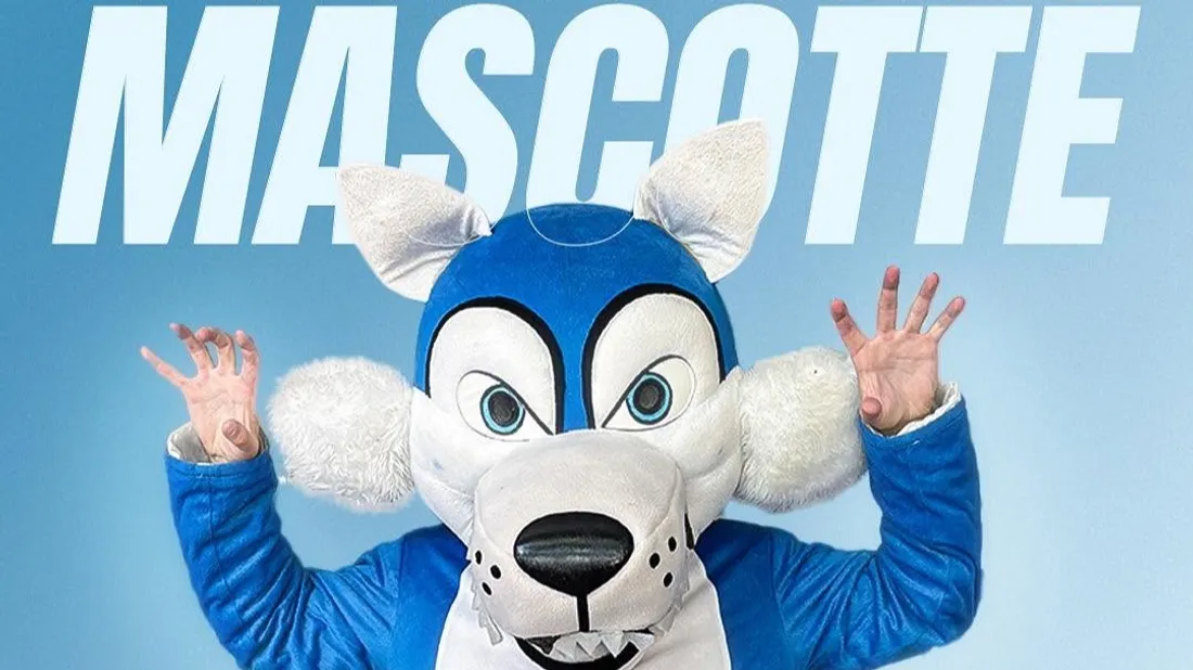 chartres, rugby, mascotte