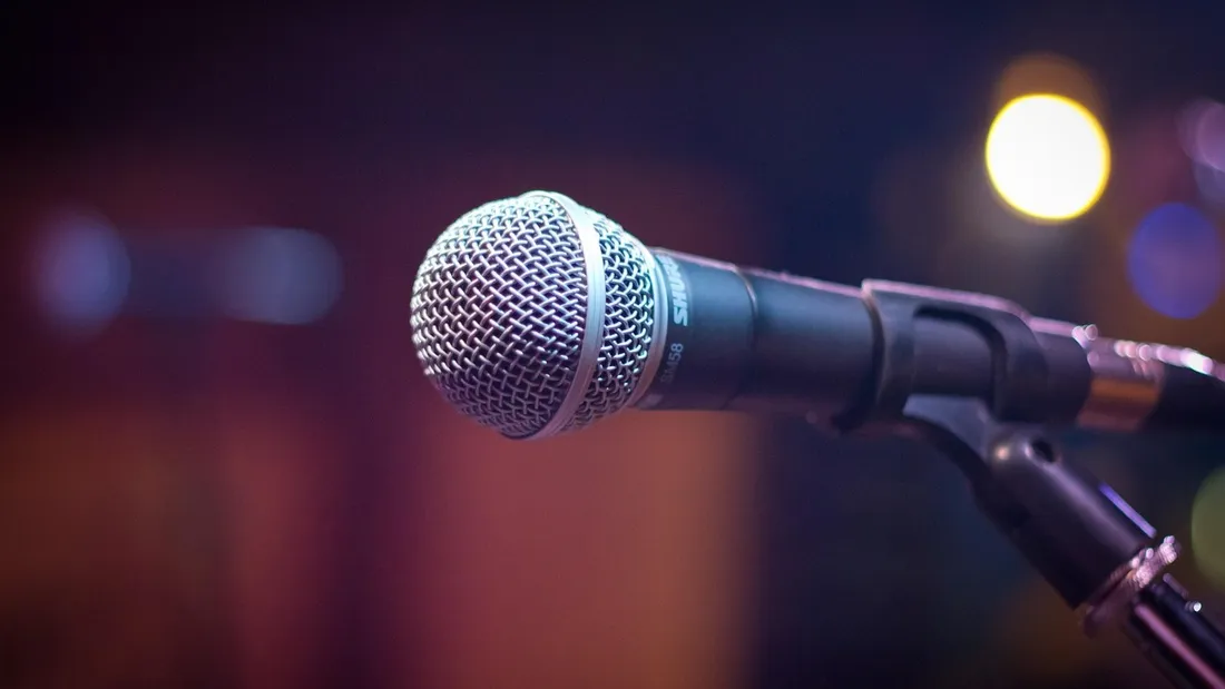 micro / concert / public