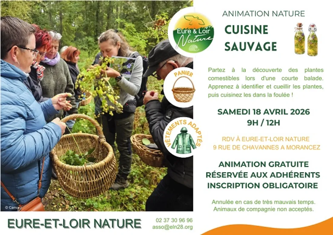 MORANCEZ - Nature : cuisine sauvage