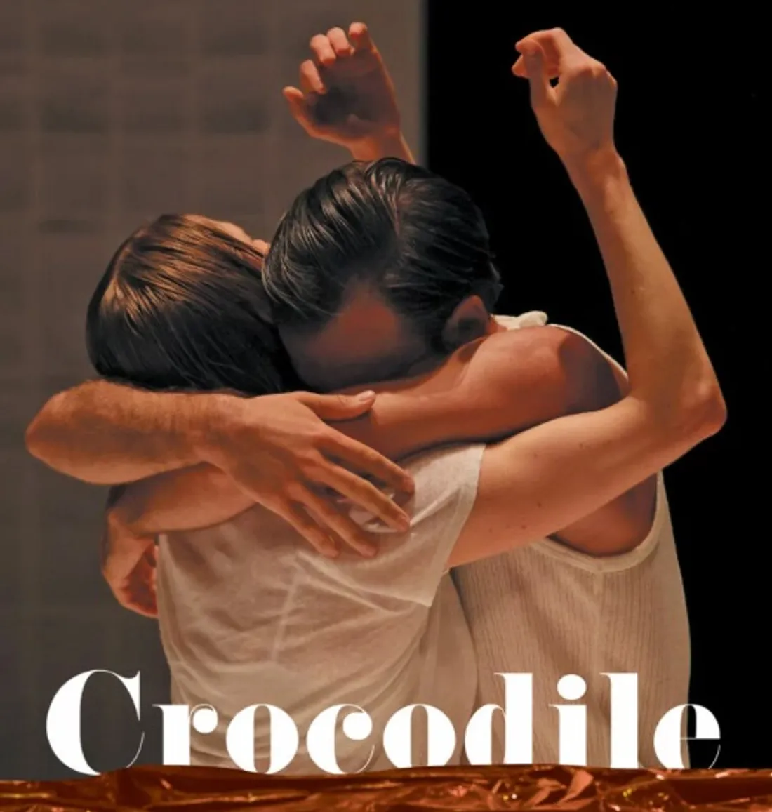 MORTAGNE-AU-PERCHE (61) - Saison culturelle : Crocodile