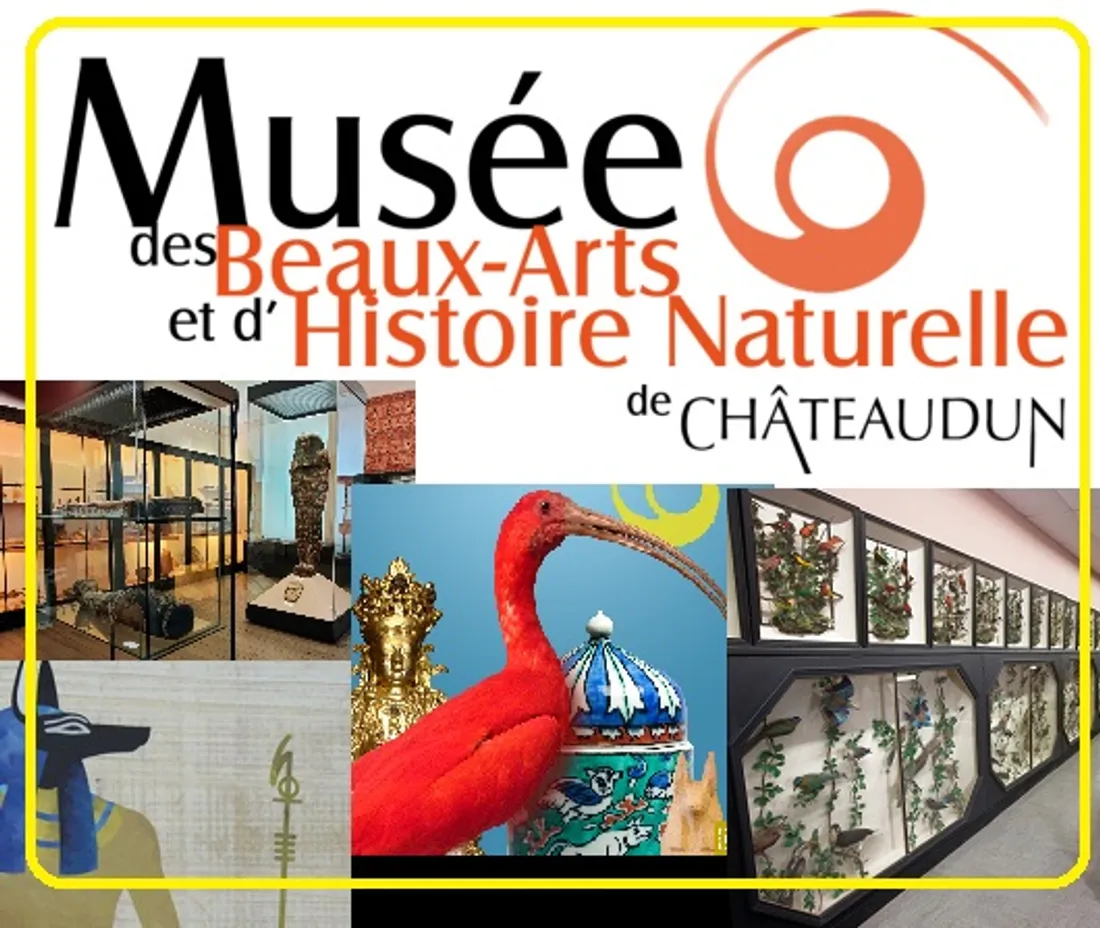  Musée des Beaux-Arts et d'Histoire Naturelle de Châteaudun