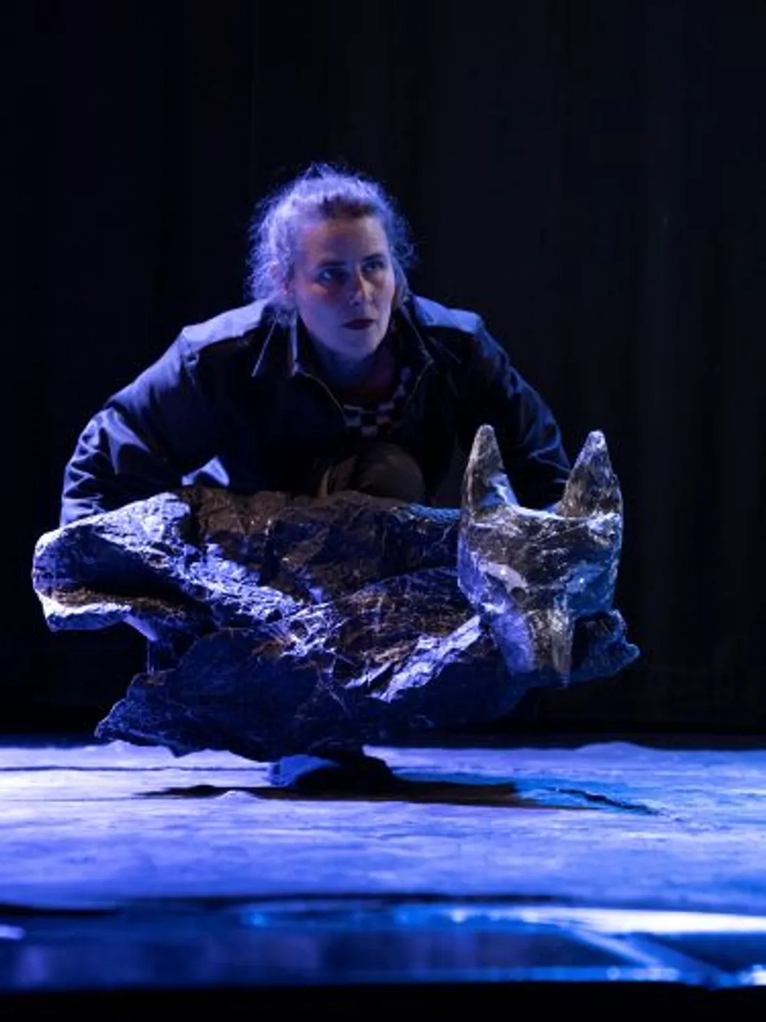 NOGENT-LE-ROTROU - Spectacle jeune public : Voir le loup