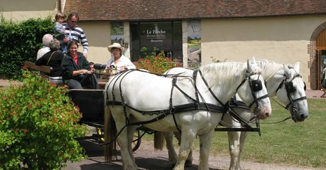 NOCÉ (61) - Balades attelées à la Maison du Parc