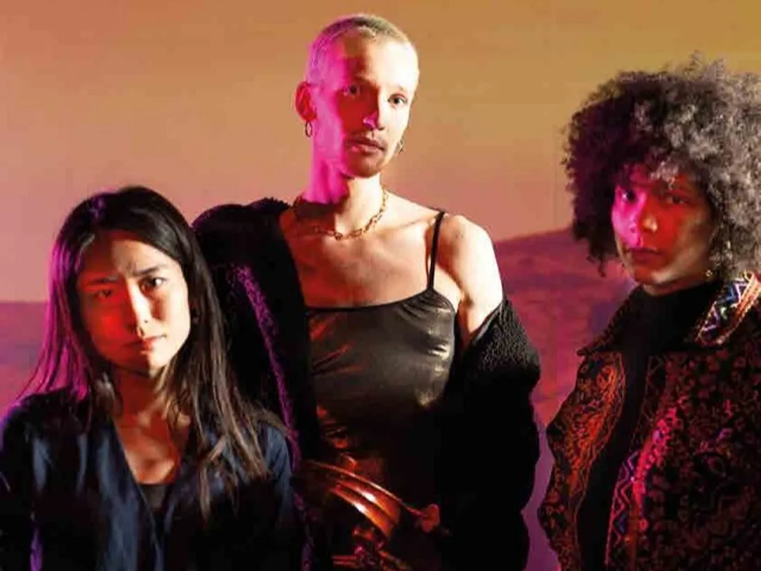 ORLÉANS (45) - Spectacle : The Democracy Project