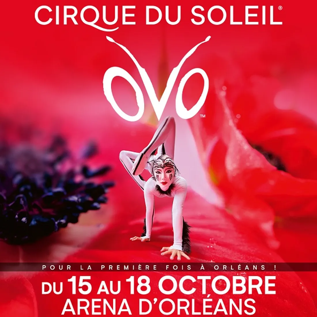 ORLÉANS (45) - Spectacle : Le cirque du soleil « OVO »