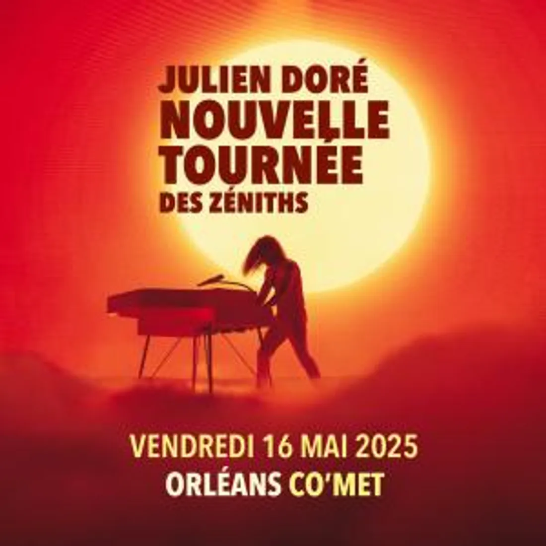 ORLÉANS (45) - Concert : Julien Doré