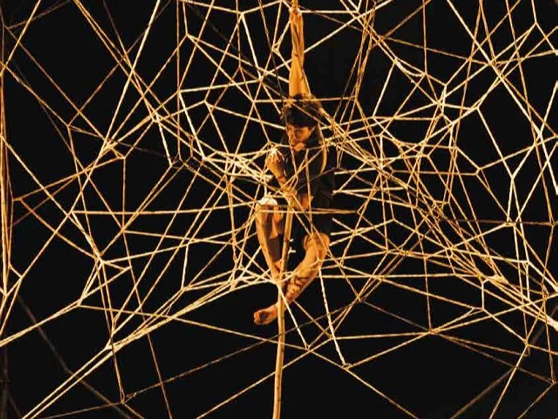 ORLÉANS (45) - Spectacle : Anitya - l’impermanence