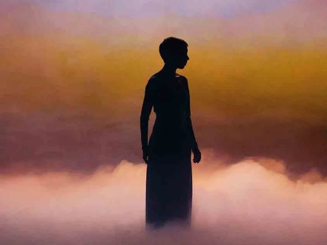 ORLÉANS (45) - Spectacle : On m'a trouvée grandie