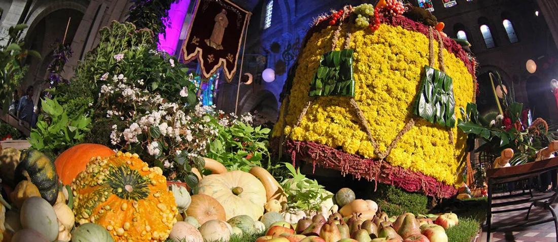 ORLÉANS (45) - Fête de la Saint-Fiacre
