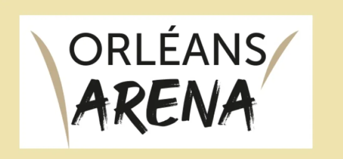 Arena Orleans logo