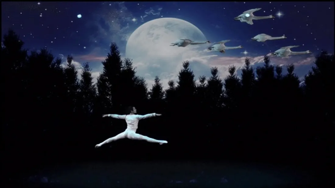 ÉPERNON - Saison culturelle : Le L@c des cygnes