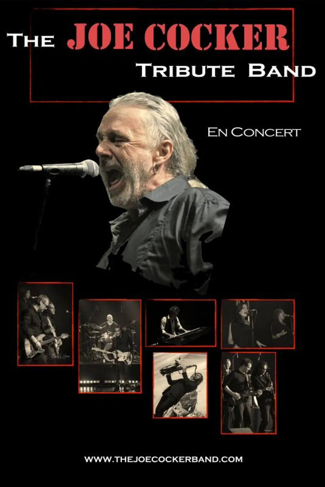 ROMORANTIN (41) - Saison culturelle : The Joe Cocker tribute band