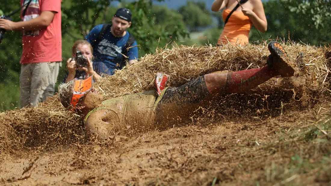 Déferlante percheronne (illu)