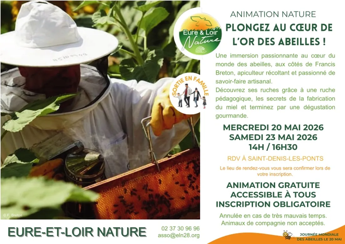 SAINT-DENIS-LES-PONTS - Nature : Plongez au cœur de l'or des abeilles