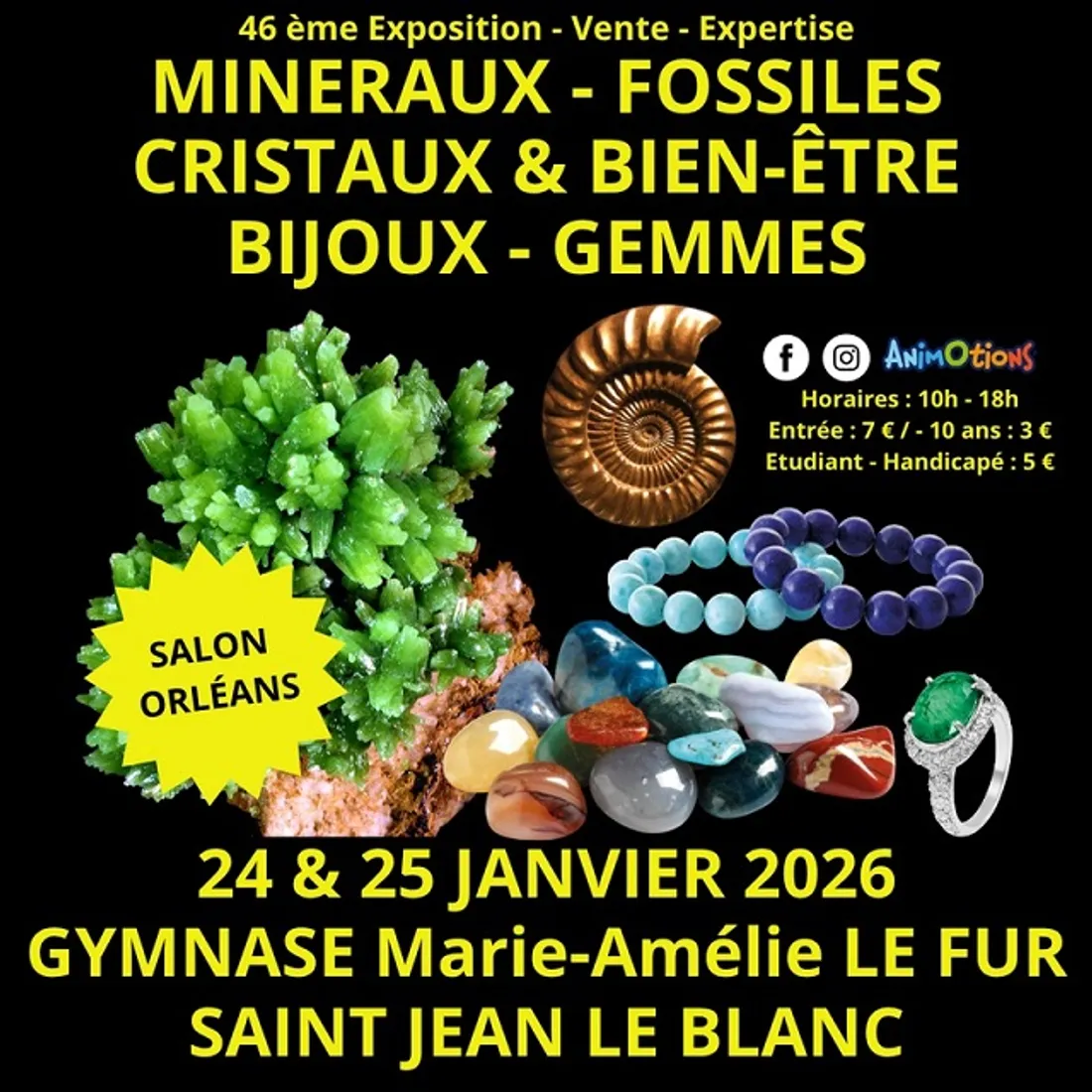 SAINT-JEAN-LE-BLANC (45) - 46ème salon minéraux fossiles, gemmes et bien-être et bijoux de créateurs