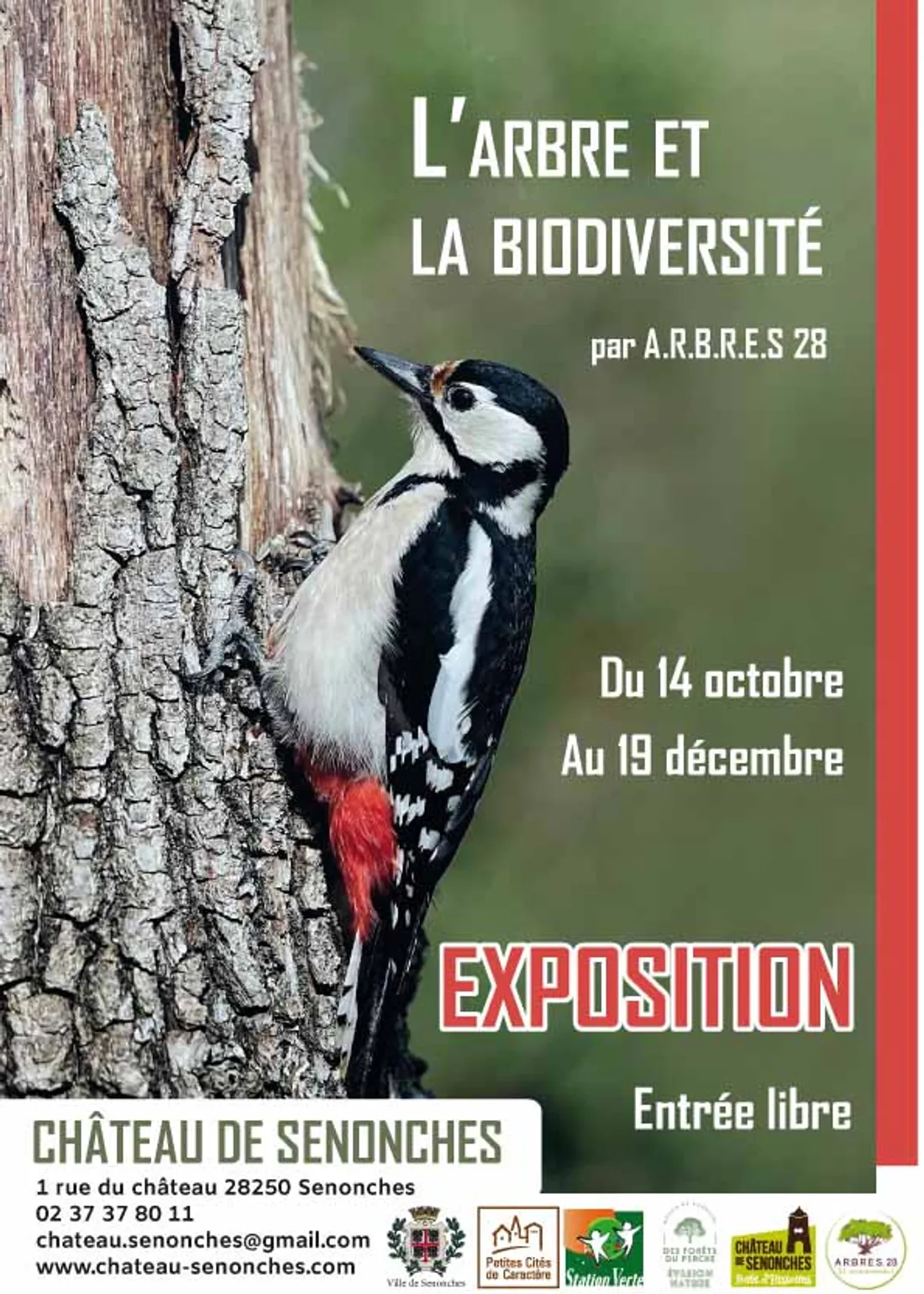SENONCHES - Exposition : L'arbre et la biodiversité