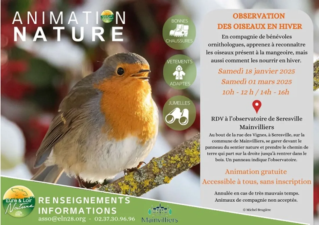 MAINVILLIERS - Observation des oiseaux en hiver