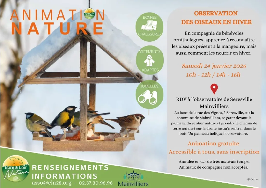 MAINVILLIERS - Observation des oiseaux en hiver