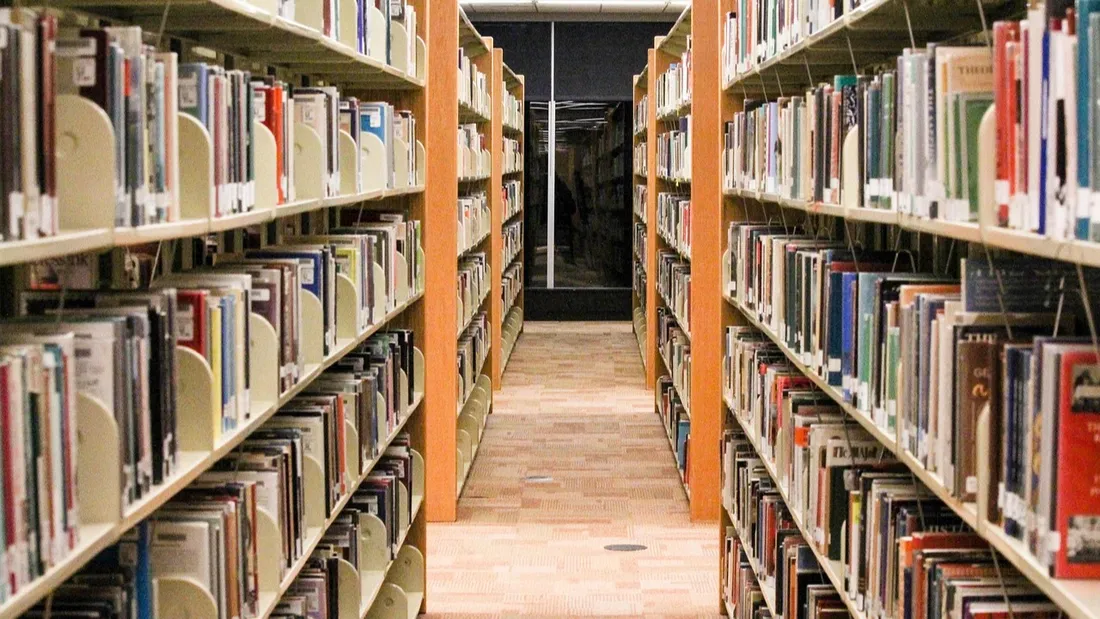 Bibliothèque, Livres, étagères