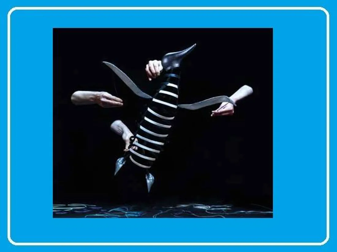 SAINT-JEAN-DE-BRAYE (45) - Saison culturelle : Le complexe du pingouin