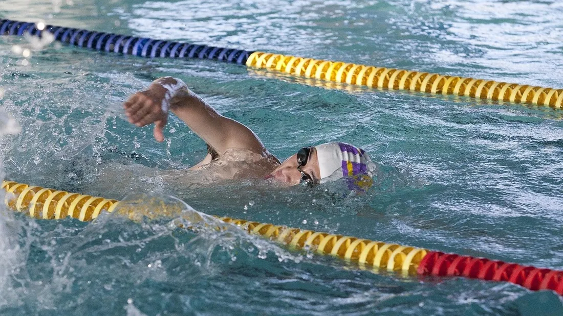 piscine / nageur / nager