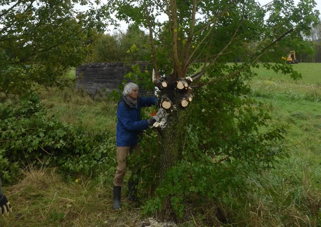 Trognes - Dominique Mansion