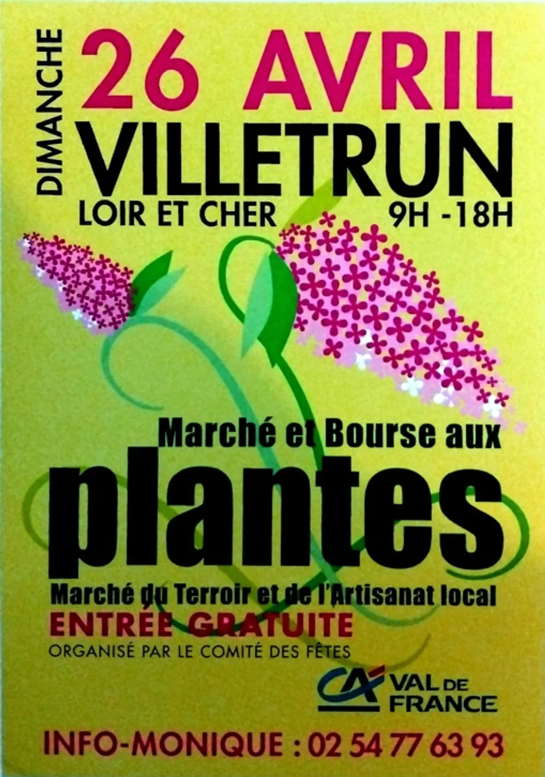 VILLETRUN (41) - Marché et bourse aux plantes