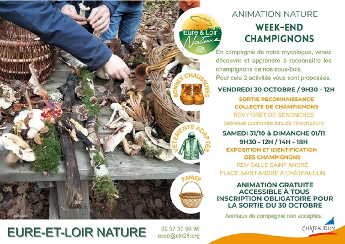 SENONCHES - Week-end champignons