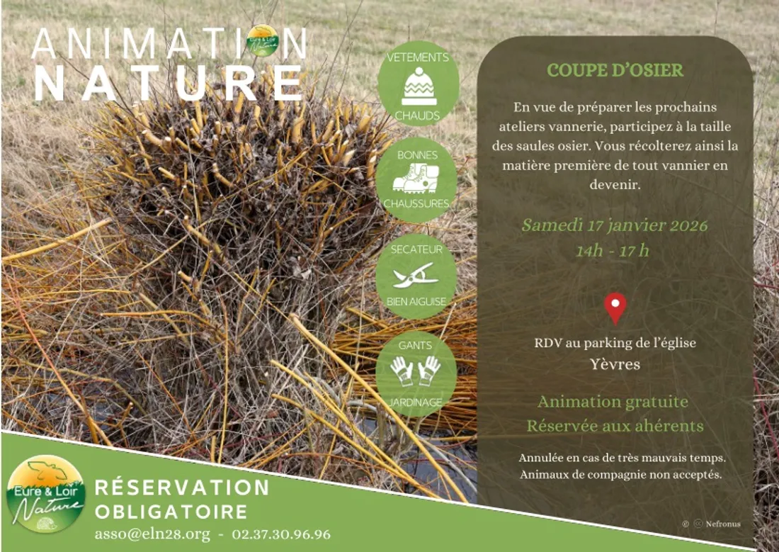YÈVRES - Eure-et-Loir Nature : coupe d'osier
