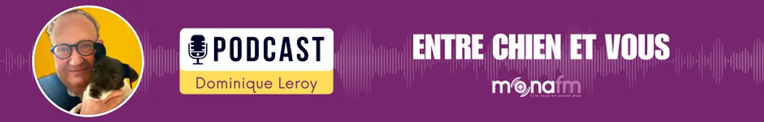 Entre chien et vous avec Dominique Leroy