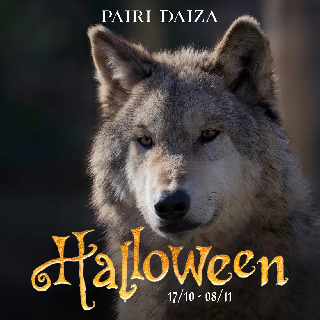 pairi 2