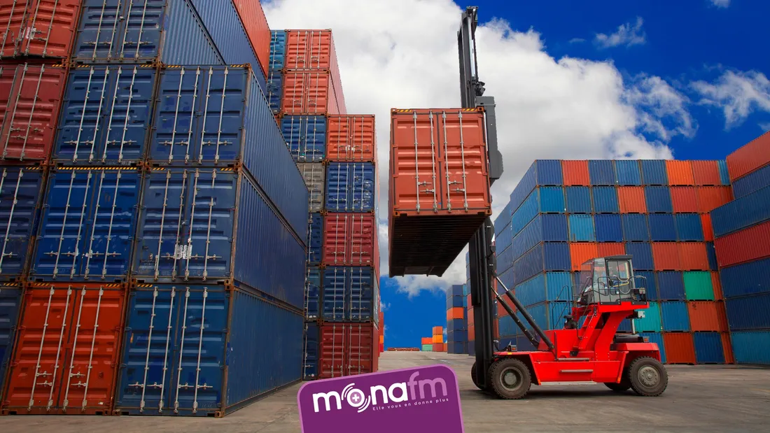 Saisie drogue record Dunkerque