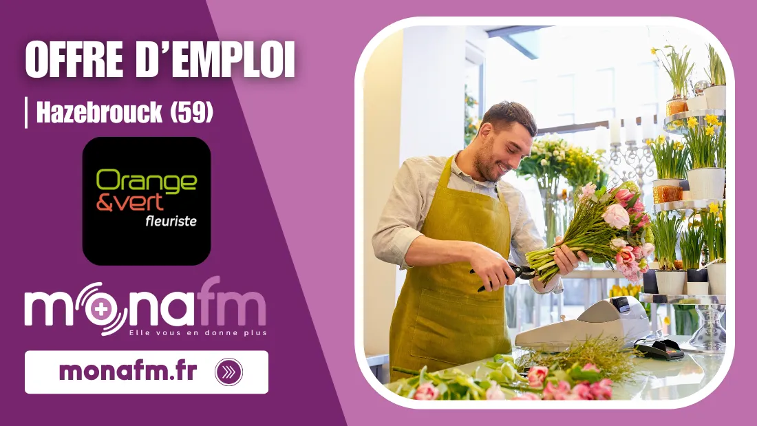 Orange&VertHazeEMP27082025