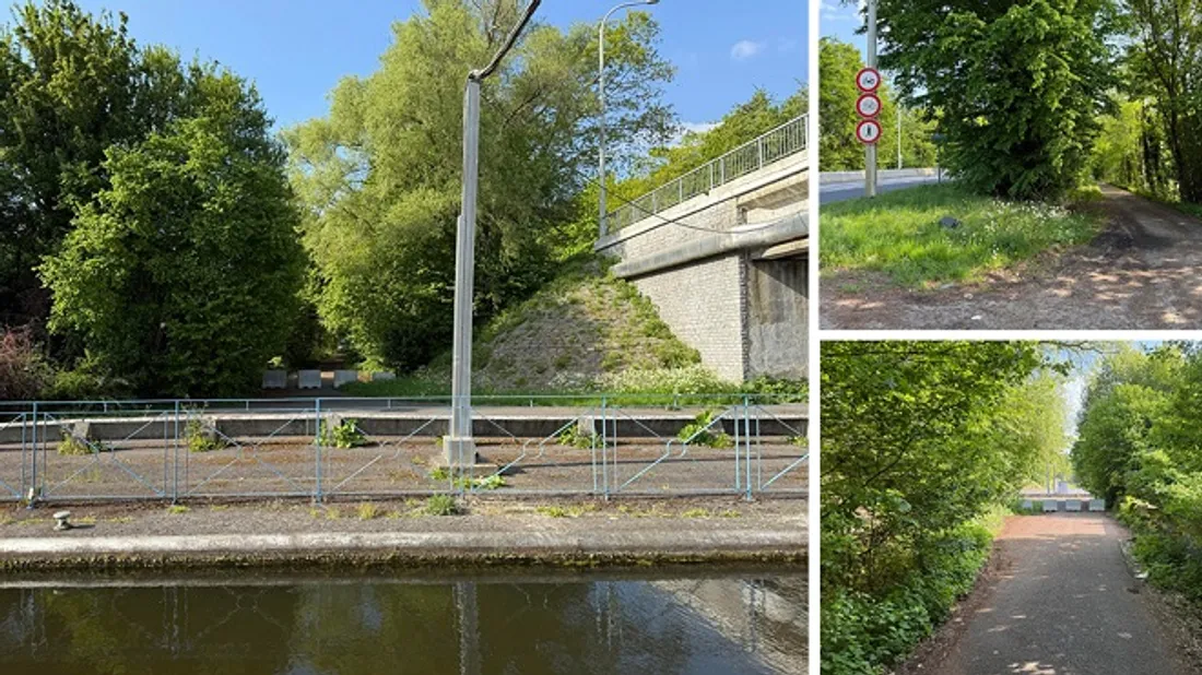 découverte nouveau né