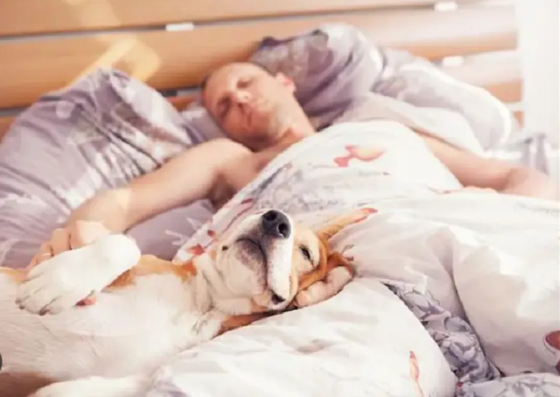 dormir avec son chien